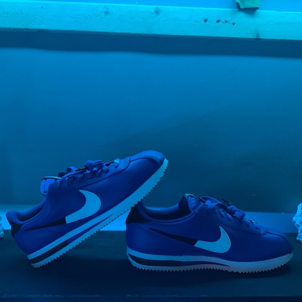 Nike Cortez ‘NBA Game Royal’